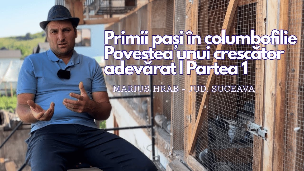 Primii pași în columbofilie – Povestea unui crescător adevărat | Marius Hrab din Suceava