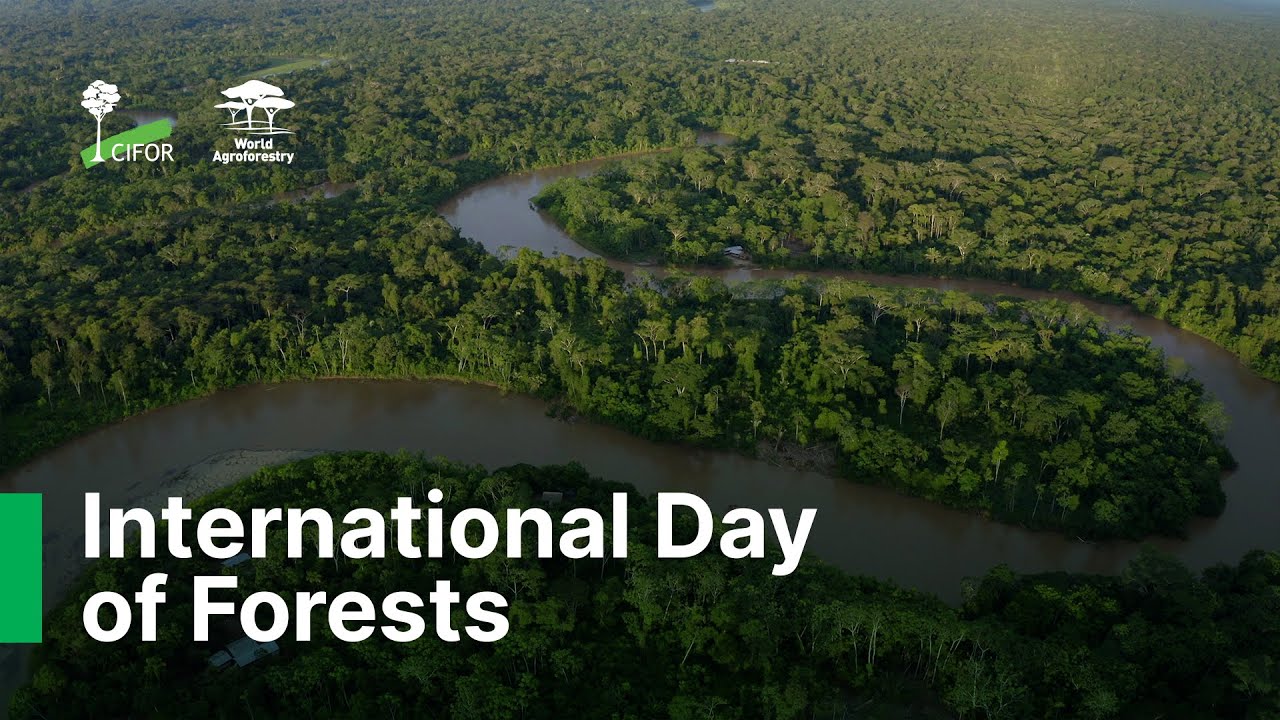 International Day of Forests