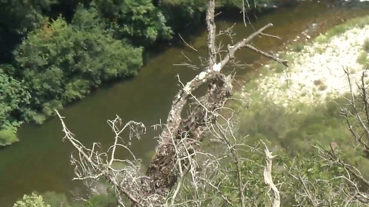 LES Gorges de l' ORB : Boucle de l' AYROLLE