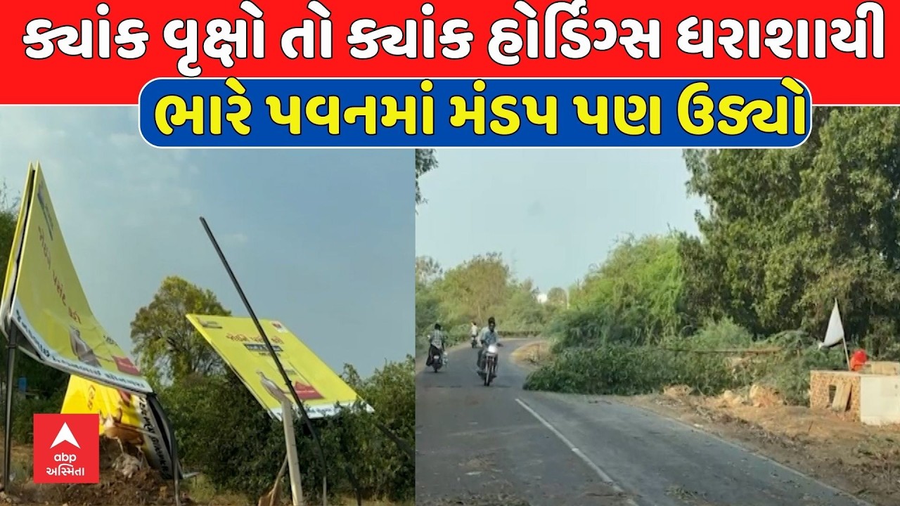 Gujarat Rain | રાજ્યના અનેક જિલ્લાઓમાં ફૂંકાયો ભારે પવન, ખેડૂતોના મોઢે આવેલો કોળિયો છીનવાયો