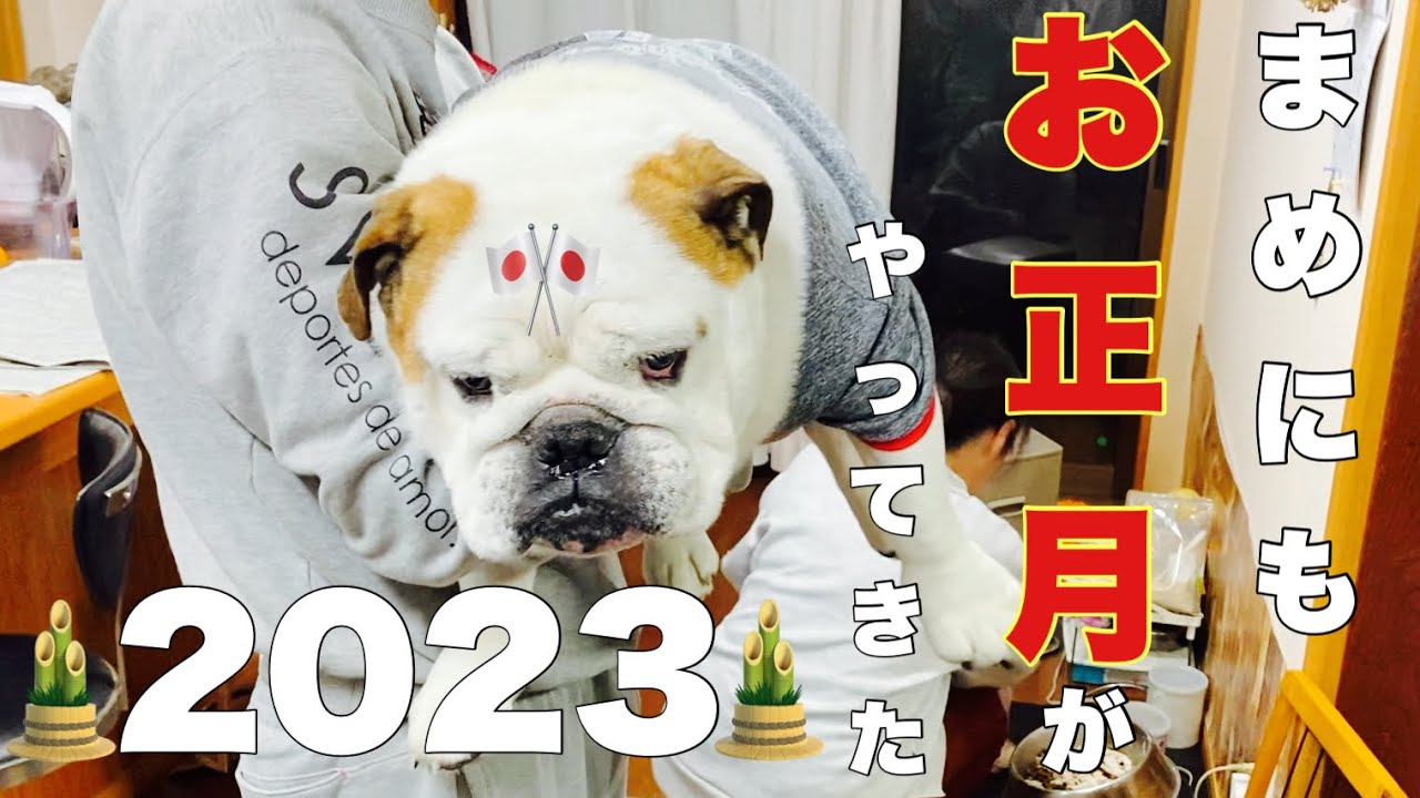 【家族全員集合】嬉しさを隠しきれないまめのお正月🎍2023