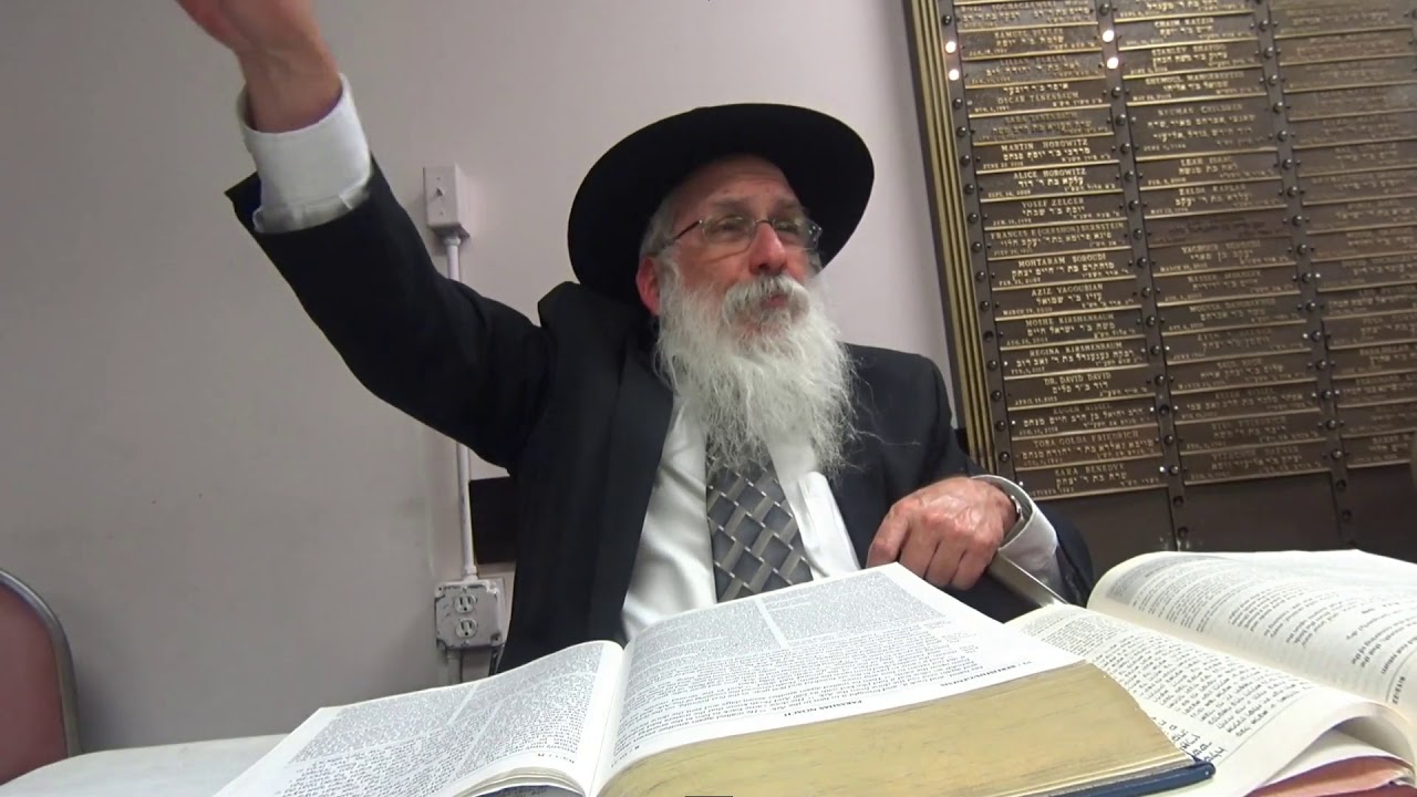 Noah's Flood- Noah Brings Sacrifices: Chumash Bereishis Parshat Noach Chapter 08 Line 20