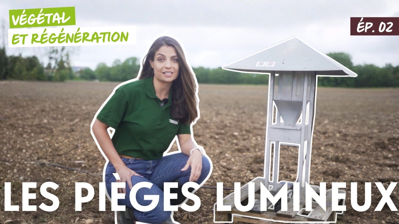 Épisode 2 : Les pièges lumineux - Les foreurs du maïs, pyrales et sésamies