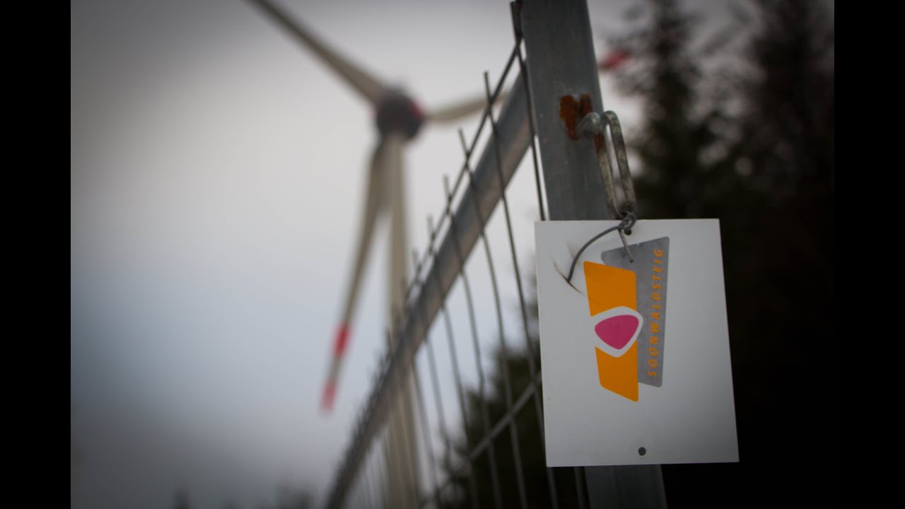 Wie der Soonwaldsteig das Weltklima rettet