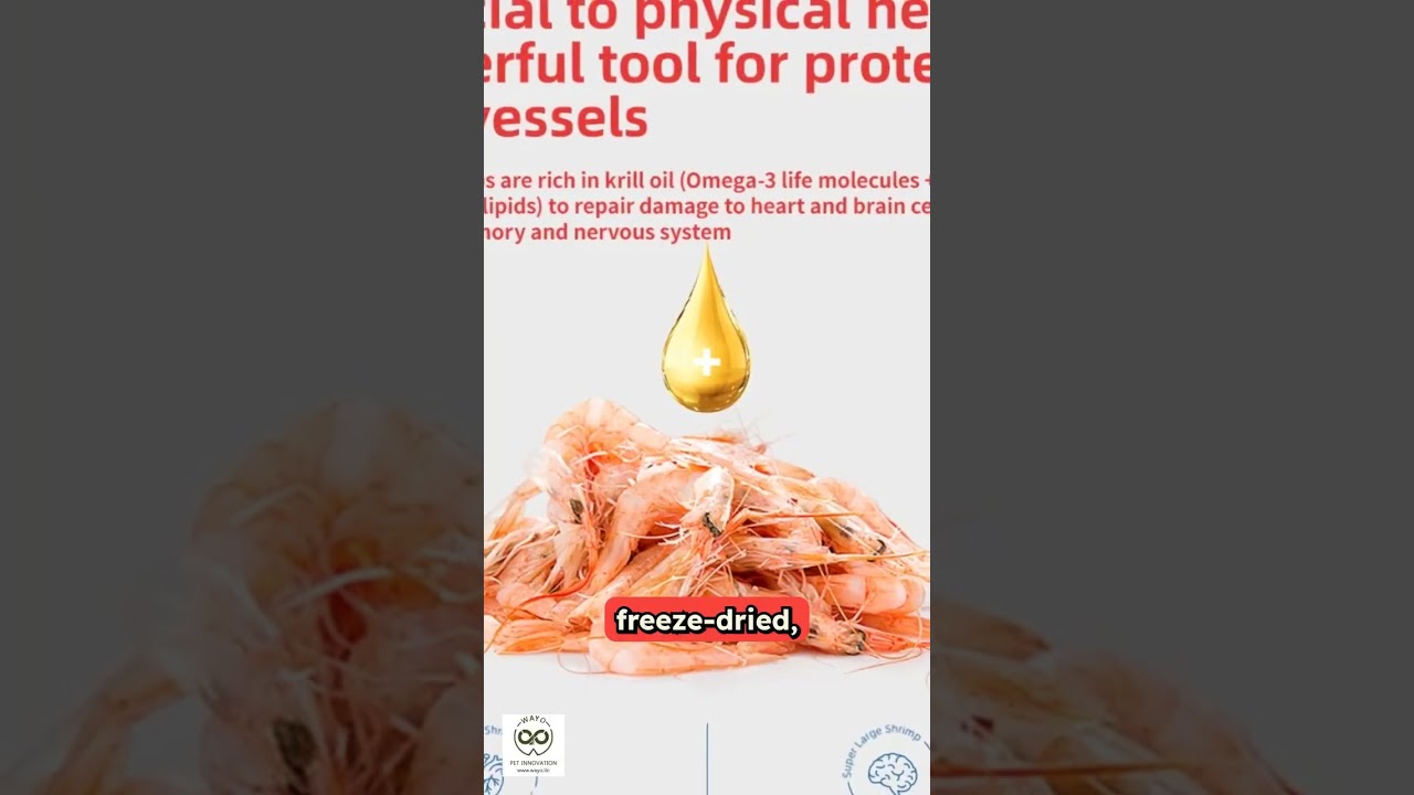 Freeze-Dried Shrimp Treats for Cats & Dogs &ndash; High Protein, Rich in Krill Oil
