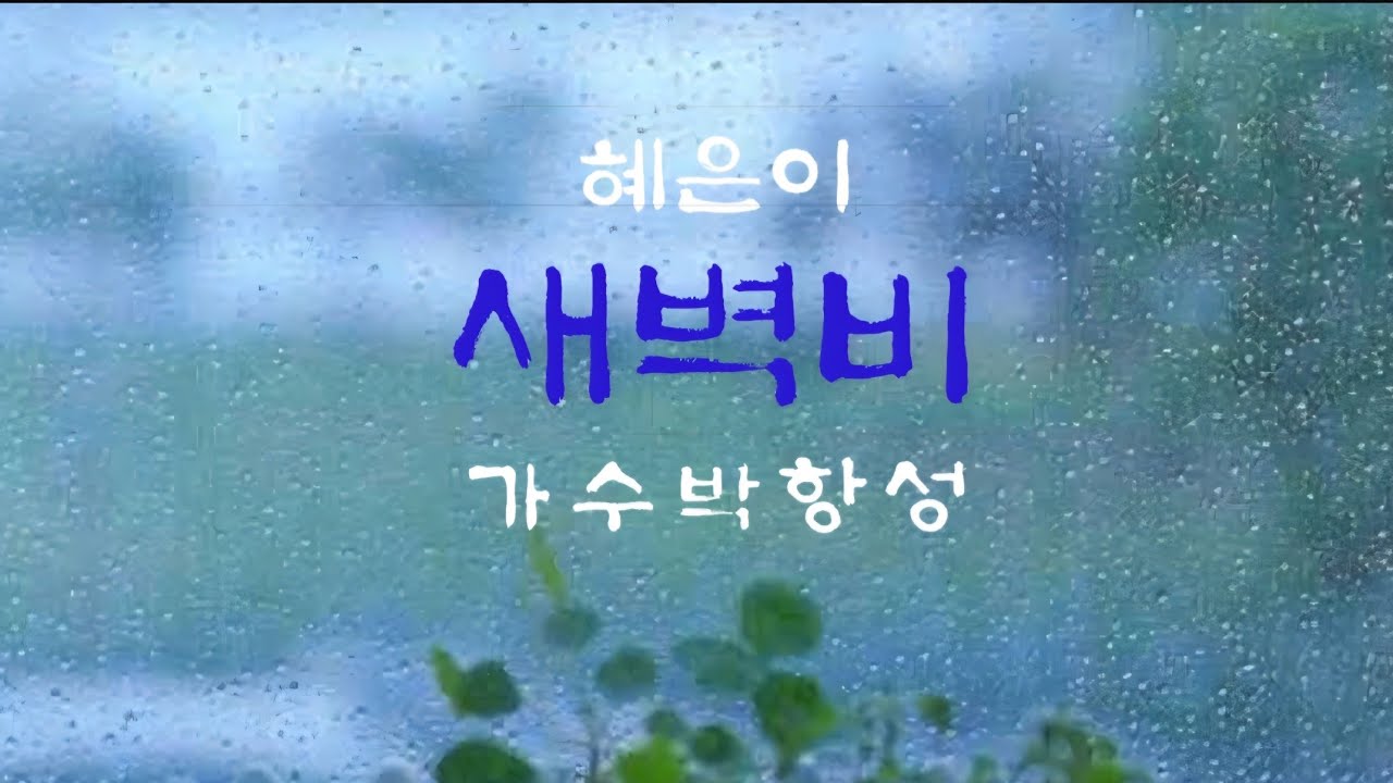 새벽비-혜은이-cover by박항성 