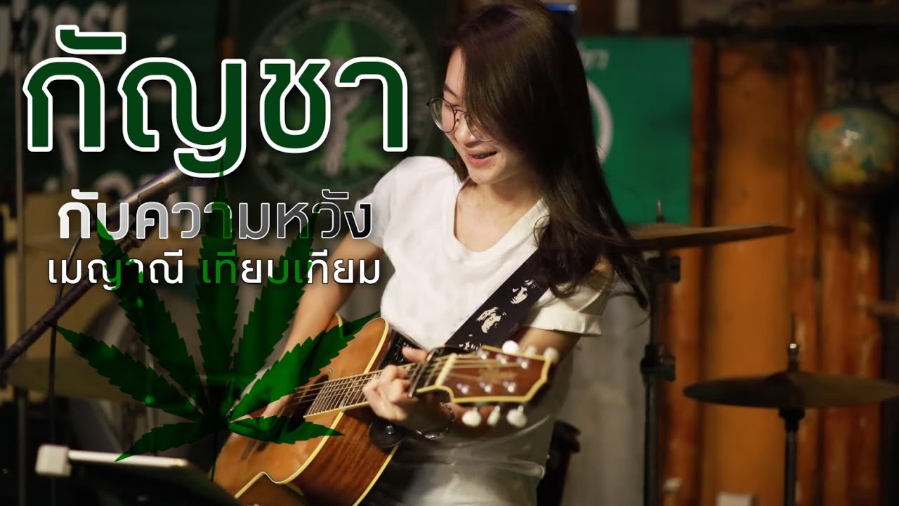 กัญชากับความหวัง - เมญาณี เทียบเทียม