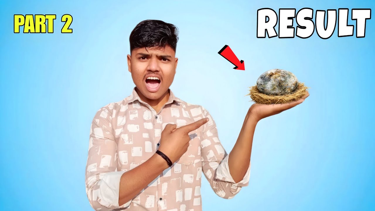 Eggs in Different Conditions for 30 Days | Final Result! 🧐|सोचा नहीं था कि ये होगा...|