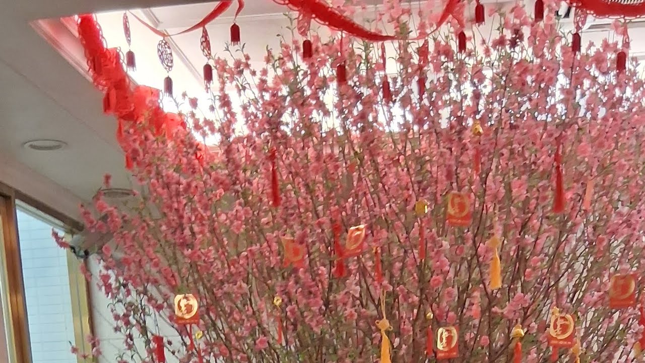 CHINESE NEW YEAR DECORATION AT HOME AND THE RANDOM PICTURES OF HARBOUR 