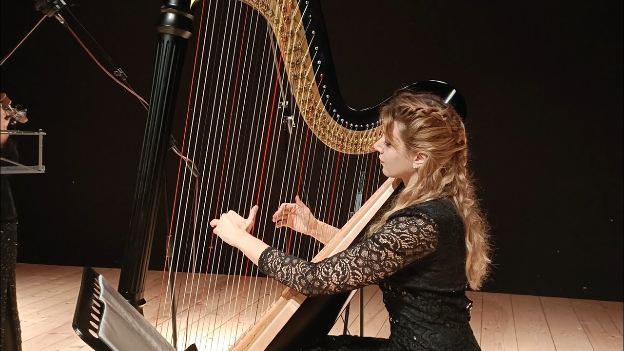 J.Williams - Schindler's List for Harp and Violin