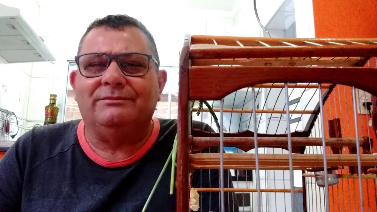 Aves de torneios,de casa para o torneio!!!