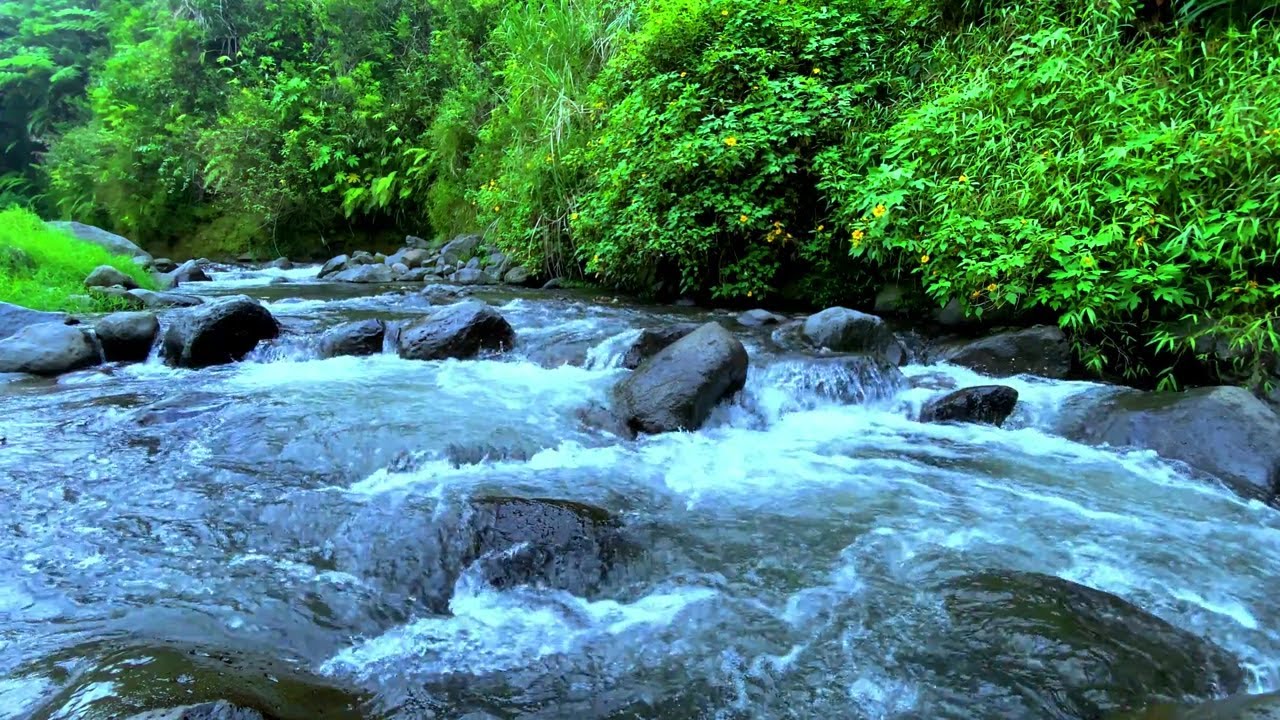 Soothing River Sounds for Inner Balance