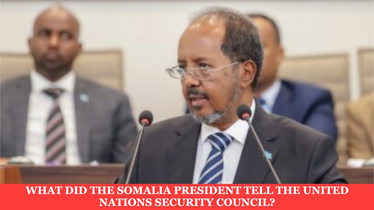 WHAT DID THE SOMALIA PRESIDENT TELL THE UNITED NATIONS SECURITY COUNCIL?