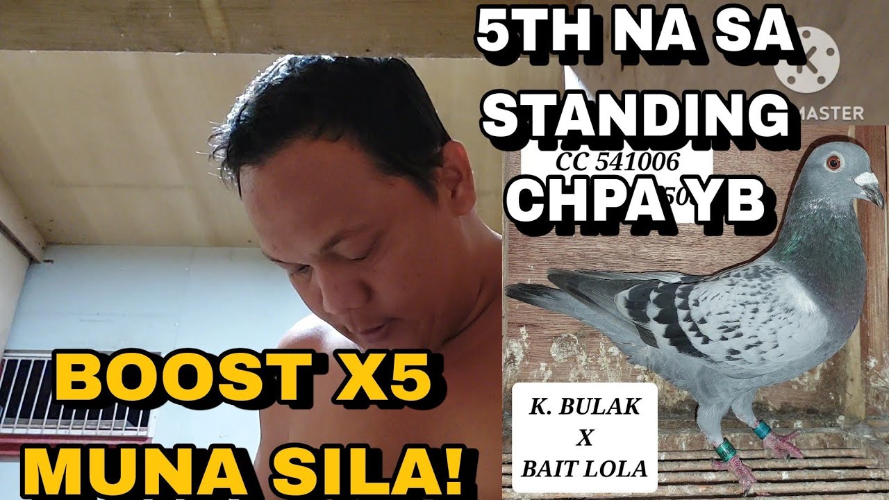 BOOST X5 NA TAYO! WEDNESDAY IS SUPPLEMENTS DAY! PWEDE NA GAMITIN AT ILIPAT MGA HEN SA STOCK LOFT!