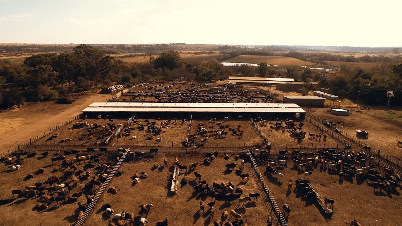 Virbac: Weiklip Boerdery | Multimin Testimonial