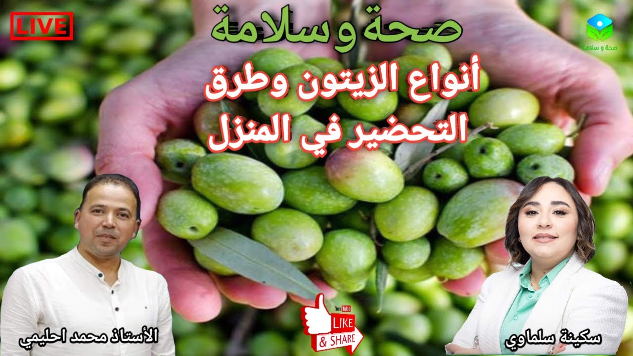🔴 أنواع الزيتون وطرق التحضير في المنزل بشكل صحي مع الأستاذ محمد احليمي اخصائي تغذية صحية