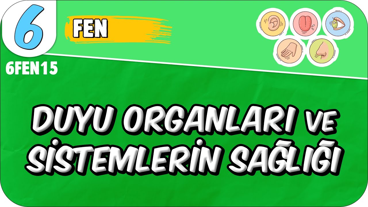 Duyu Organları ve Sistemlerin Sağlığı 📗 6. Sınıf Fen #2025