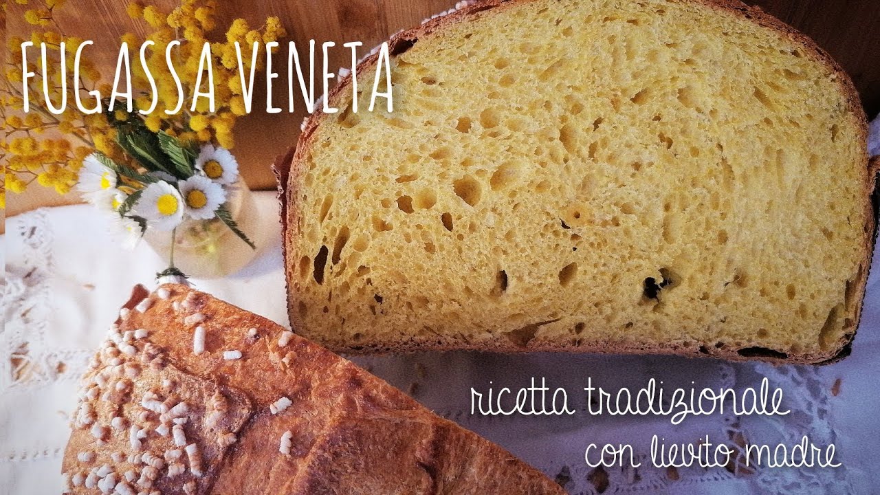 FUGASSA VENETA ricetta tradizionale con lievito madre (o Veneziana)