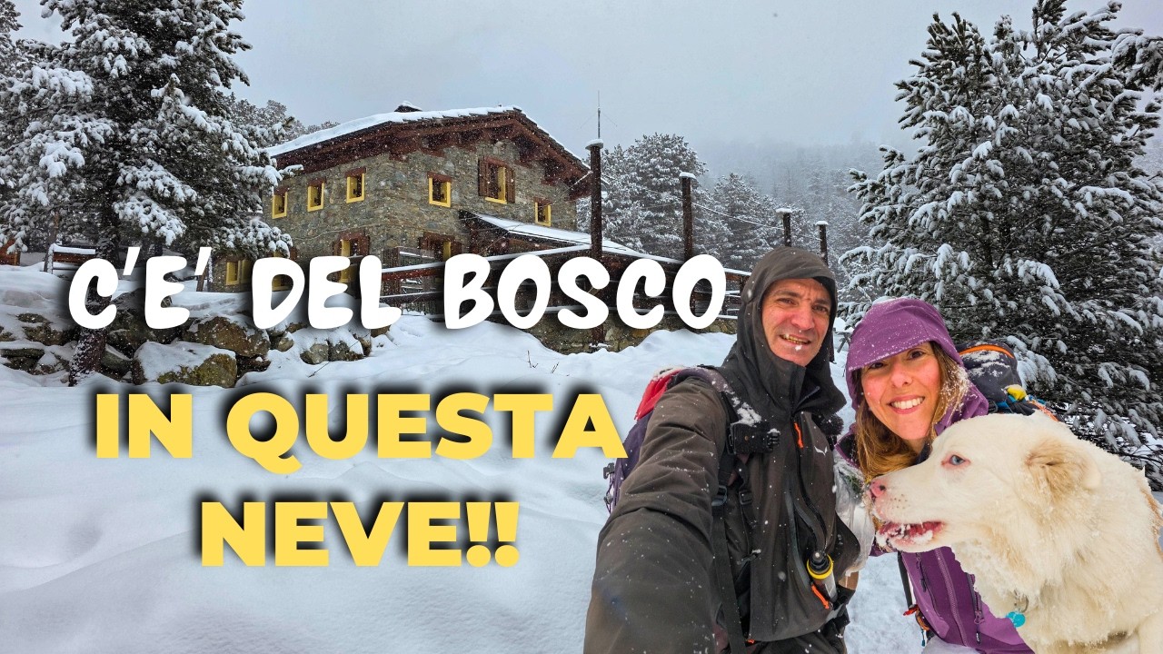 SIAMO VIVI! Nevicata nel BOSCO DELL’ALEVÉ verso il Rifugio BAGNOUR da CHIANALE, Valle Varaita (CN)