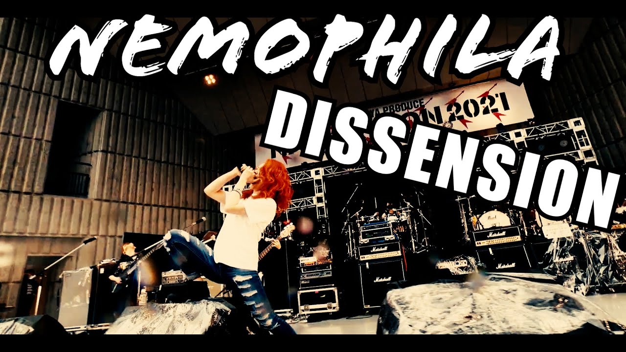 NEMOPHILA / DISSENSION [Official Live Video]
