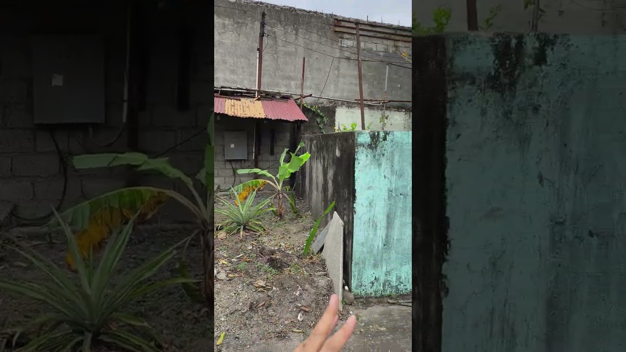 Warehouse Property For Sale