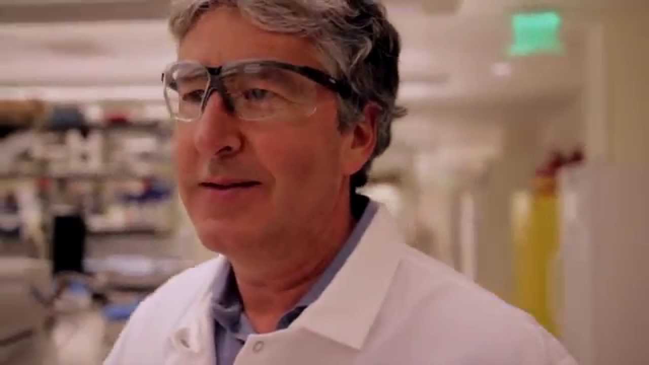 A look inside the Genomics Institute of the Novartis Research Foundation