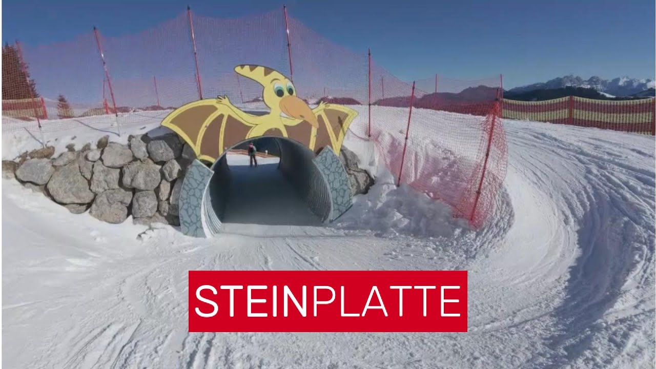 Steinplatte