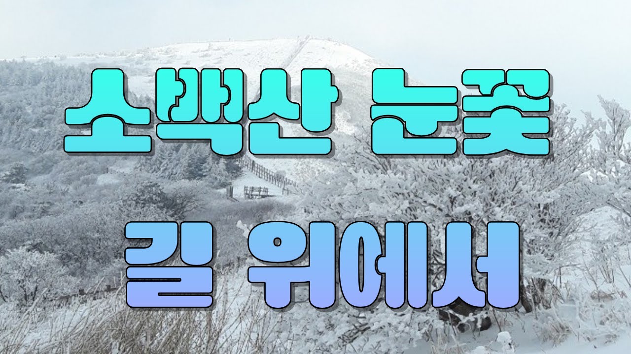 소백산 눈꽃 길 위에서, 소백산 비로봉의 추억(2020년 1월 4일)을 따라서...
