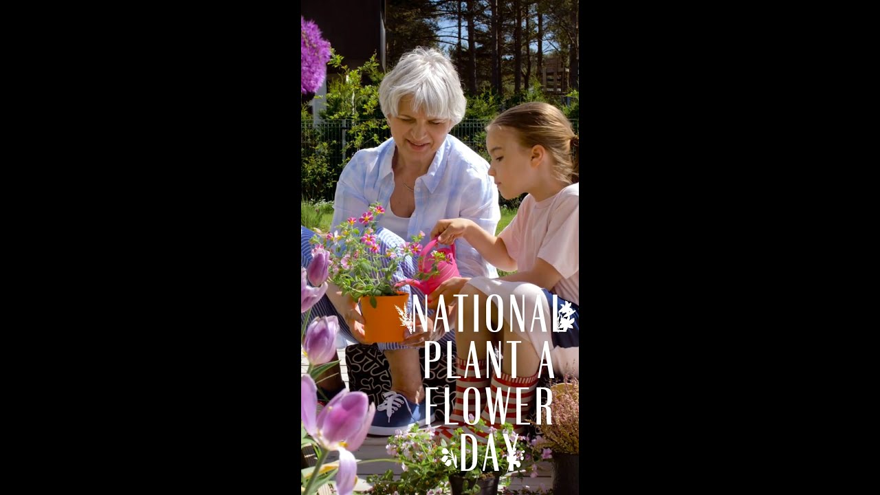 National Plant a Flower Day