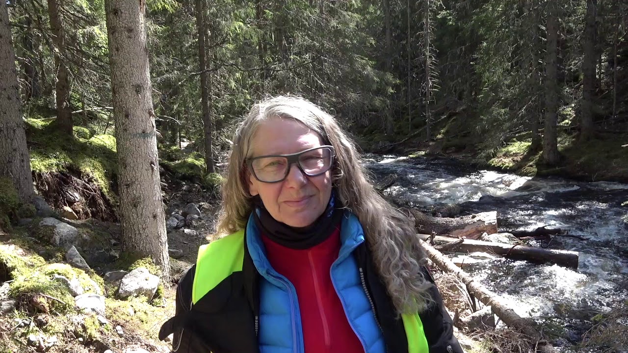 Hoj och vandringstur till Fettjeån - Klövsjö