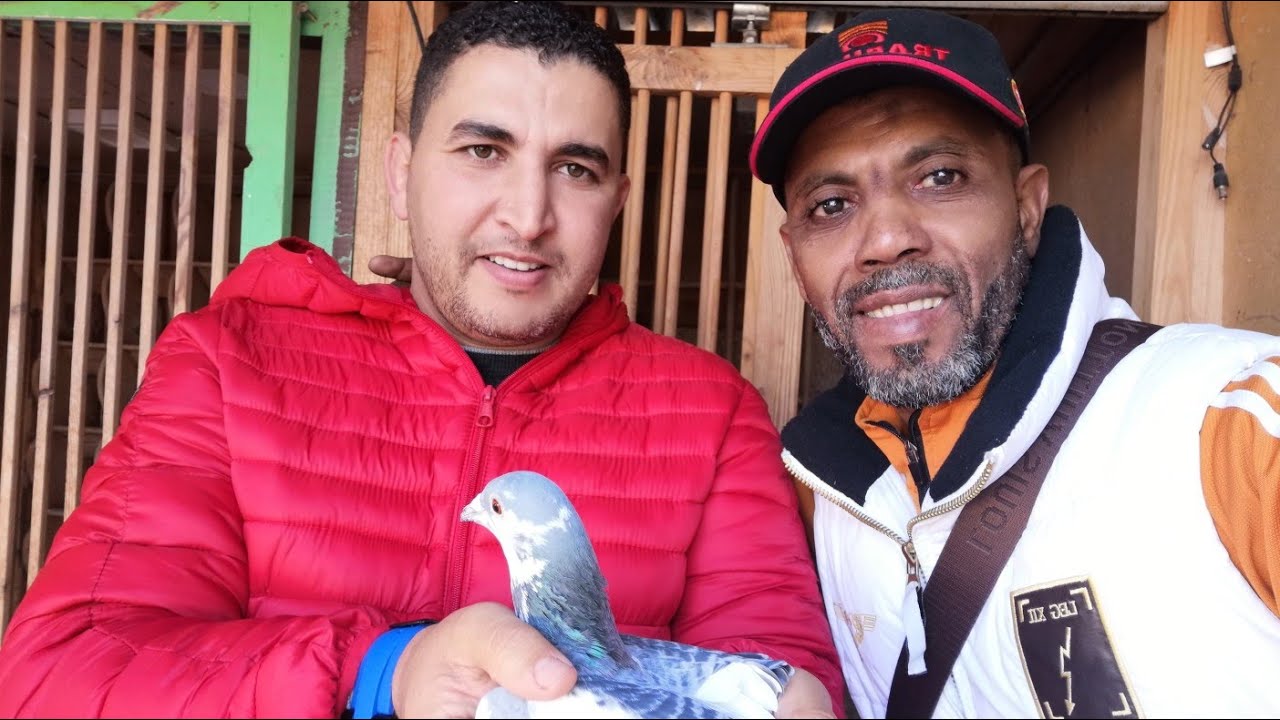 فيديو رائع مع البطل الكبير امين ركبي عن الجمعية الرباطية