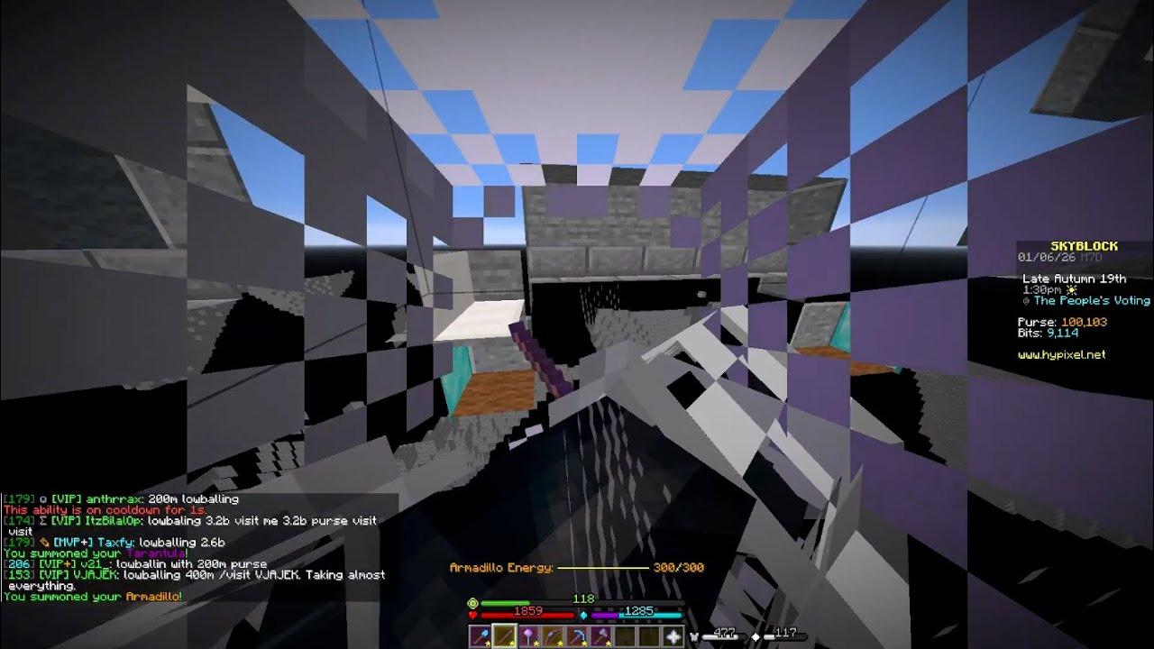 silly glitch on hypixel skyblock
