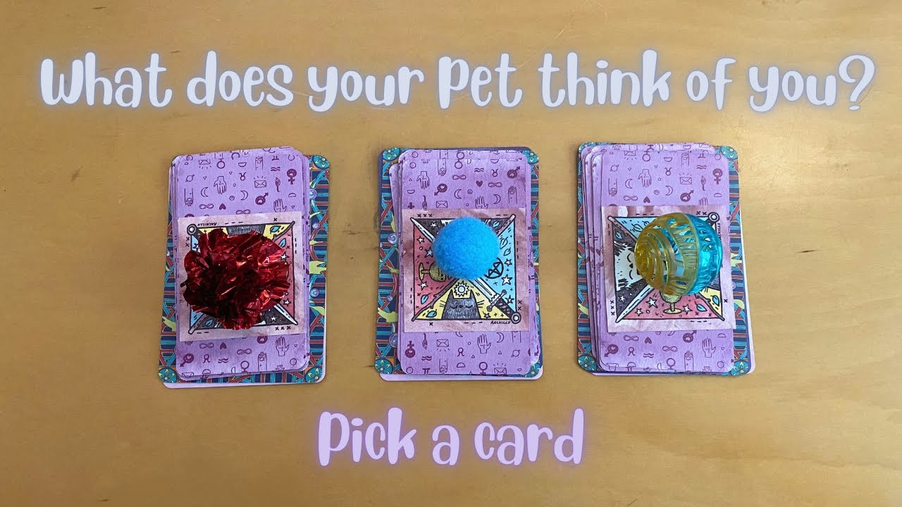 What does your pet think of you? 🐱🐶🐰 PICK A CARD 🃏