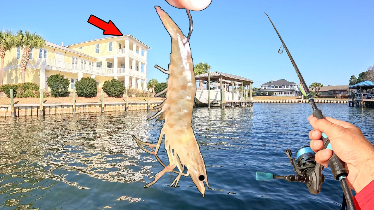 Nobody Fishes This Spot...So I Tried It!