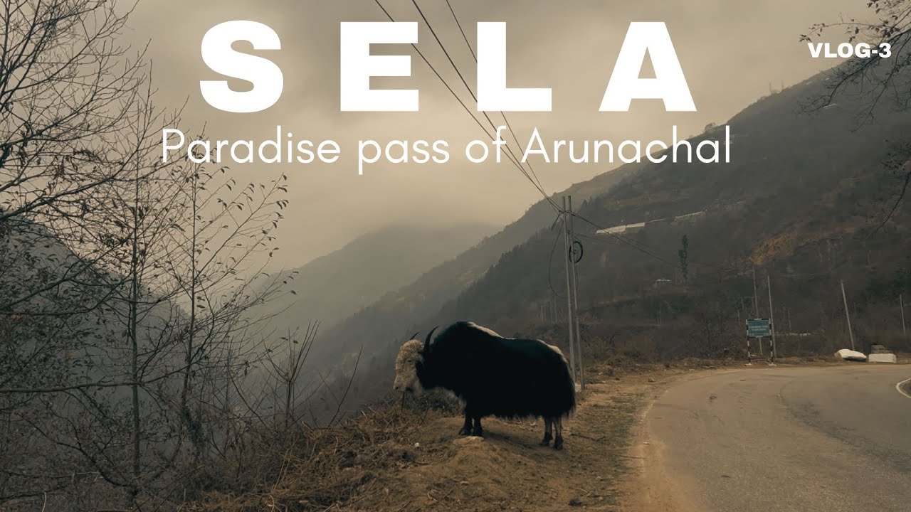 SELA PASS |Vlog-3 Tawang Ride | Arunachal Pradesh | KTM Adventure 250