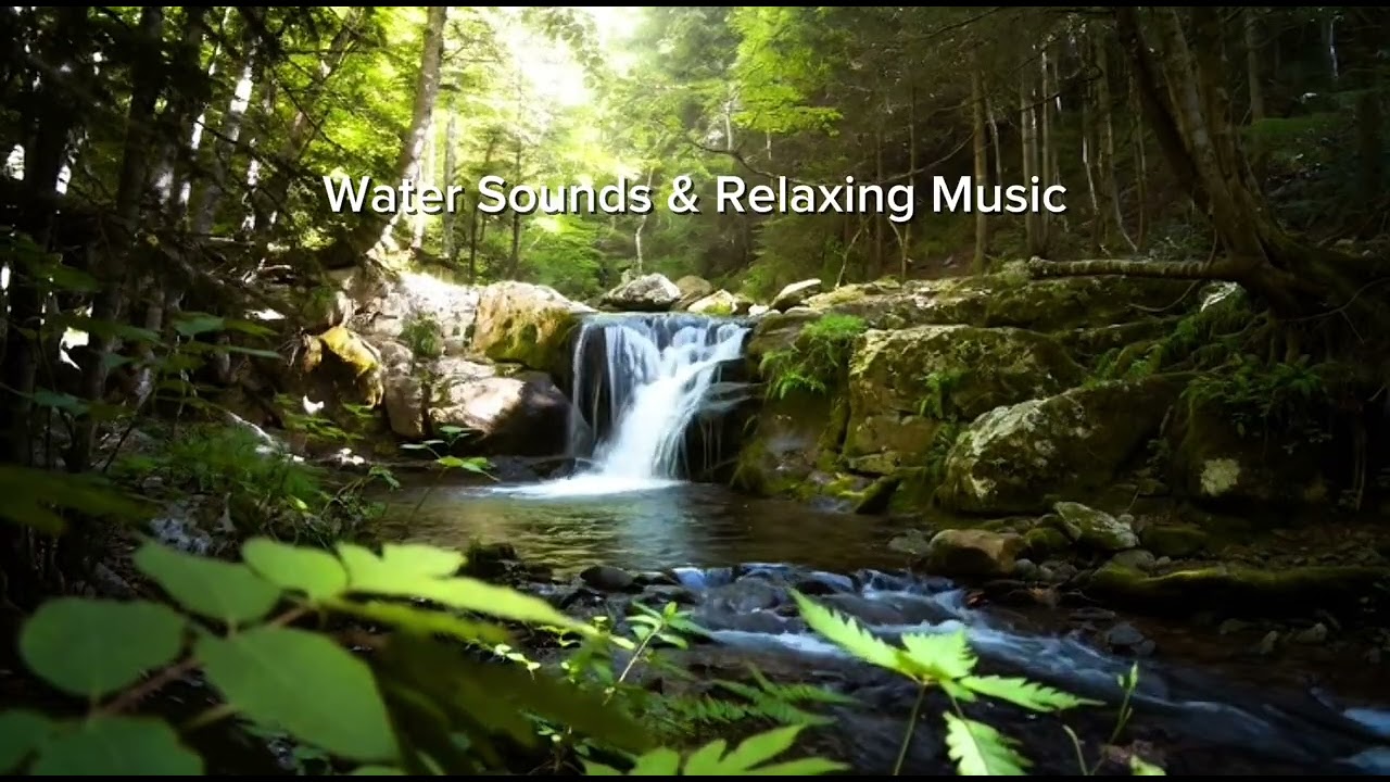 Relaxing Waterfall Sounds 🌿 Calm Forest Music for Stress Relief & Peaceful Mind