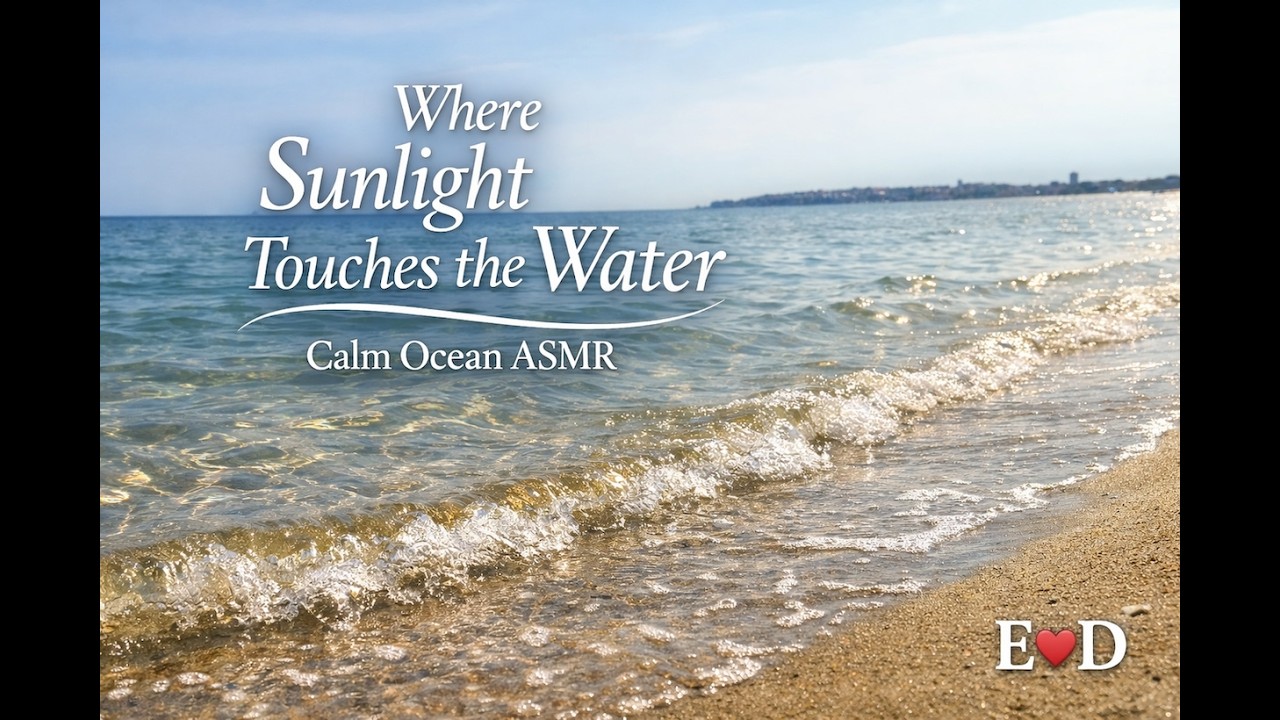 Where Sunlight Touches the Water | Calm Ocean ASMR