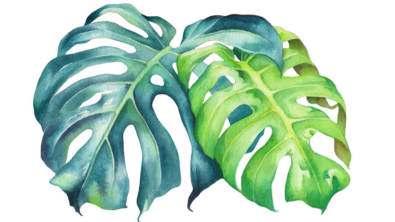How to Paint Tropical Leaves 🌿  Watercolor Tutorial