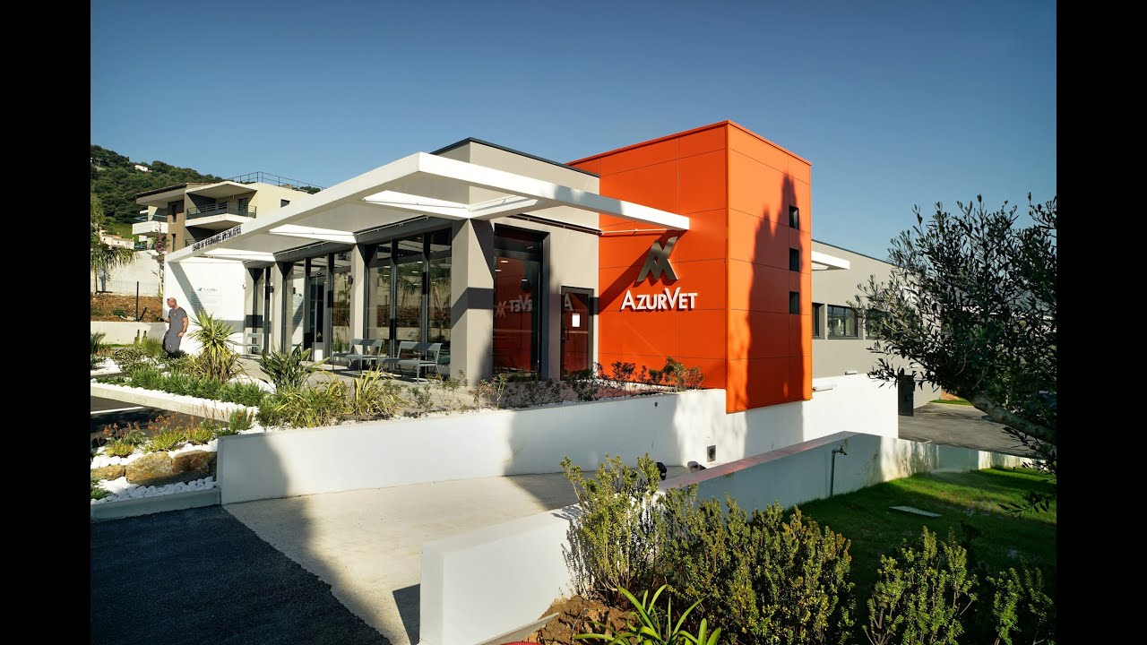Présentation d'AzurVet, le centre de référé du 06 regroupant des vétérinaires spécialistes.