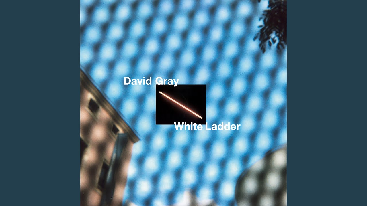 White Ladder