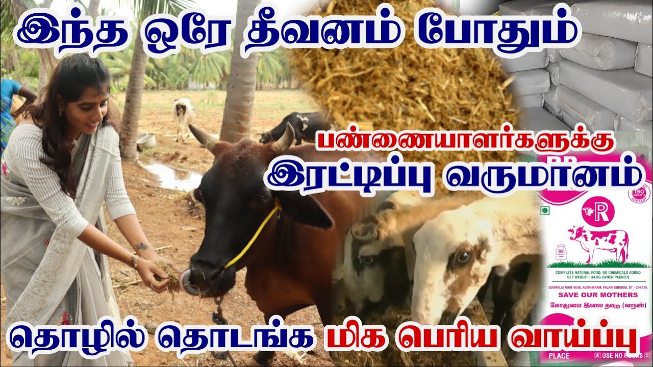 கால்நடைகளுக்கான புதிய தீவனம் | பண்ணையாளர்களுக்கு இரட்டிப்பு லாபம் | Complete Feed For Cattel | CFC