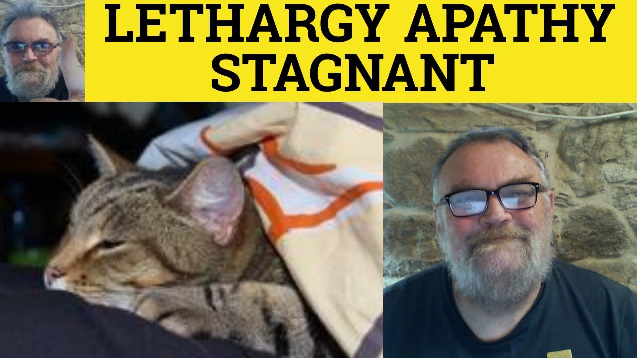 🔵Lethargy Lethargic Stagnant Stagnate Apathy Apathetic - Apathy Lethargy Stagnant -Meaning Examples