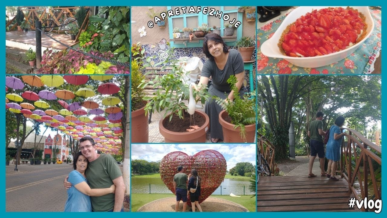 Passeando em #Holambra muitas #flores fiz #tortademorango  e #replante afiiiii!!!!!😁 #vlog 
