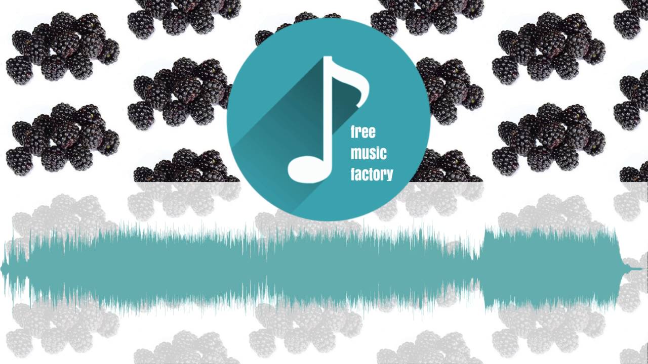 aidas - Where Earth Meets Sea  | Free Music Factory