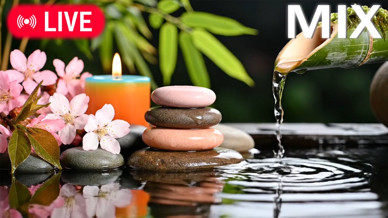 🔴Nhạc thư giãn - Nhạc chữa lành, Tâm hồn thiên nhiên, Nhạc thiền, Nhạc spa, Nhạc ngủ, Nhạc học tập