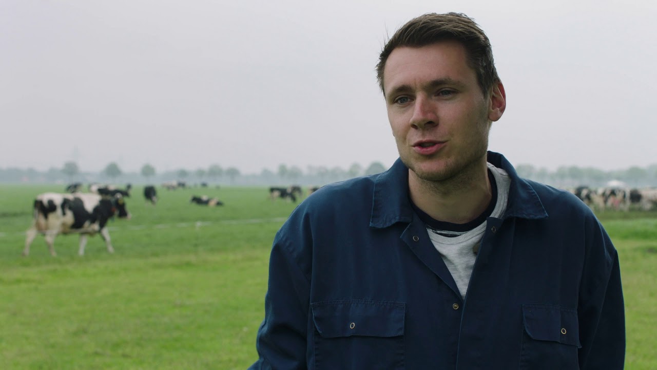 Werken in de melkveehouderij