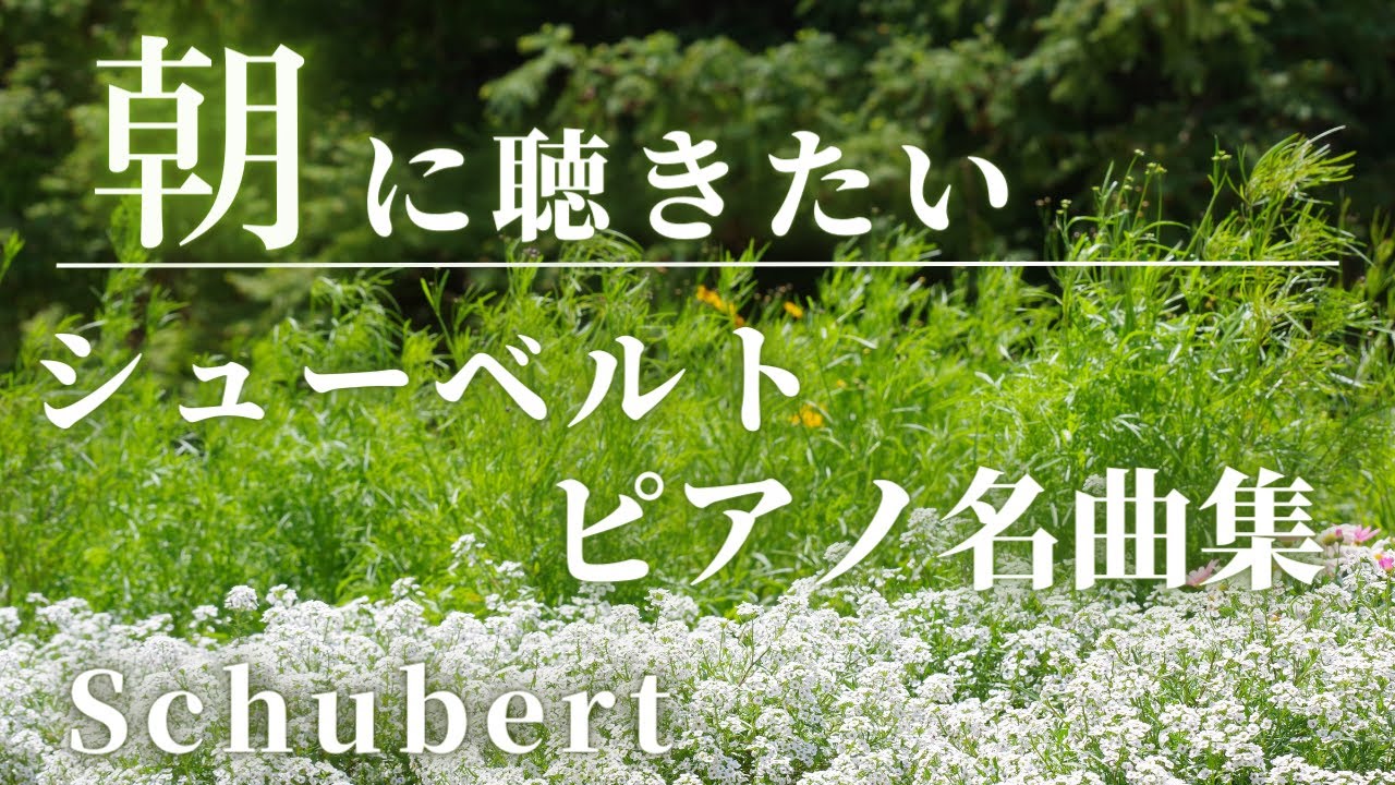 【名曲クラシック】朝に聴きたいシューベルトピアノ曲集  気持ちの良い朝のスタートに♪BGM Schubert Piano