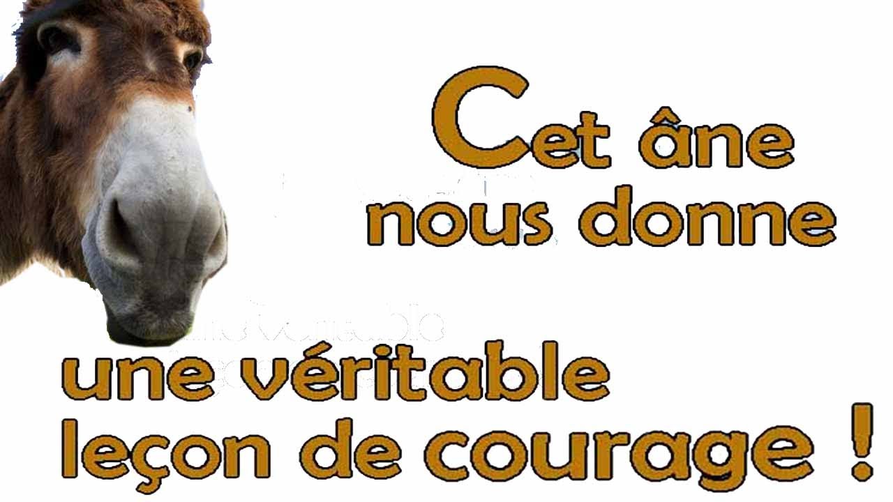 Faut-il quitter la fonction publique ?
