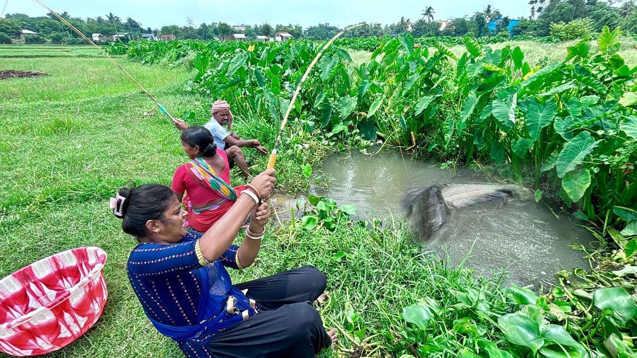 Fishing Video🐬🐬 |  Two Lady Unique Fishing video in pond #fishingmethod #hookfishing  #villagelife