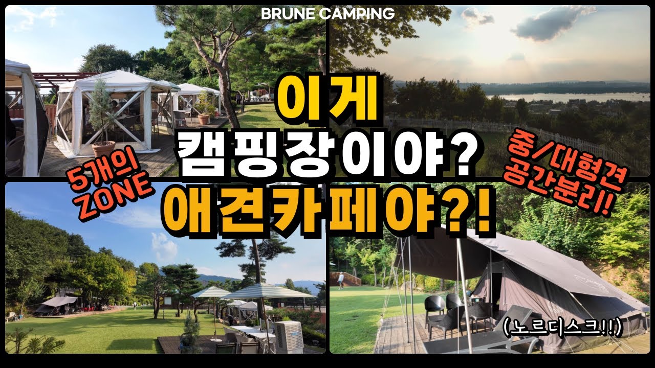서울 근교 애견동반 카페 식당 운동장 추천! 텐트가 있어서 캠핑분위기 물씬 ⛺ 남양주 카페스토리 #캠핑 #캠퍼 #애견동반 #애견동반카페 #강아지